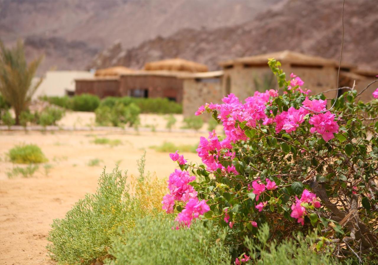 Safari Beach Nuweiba Exterior photo